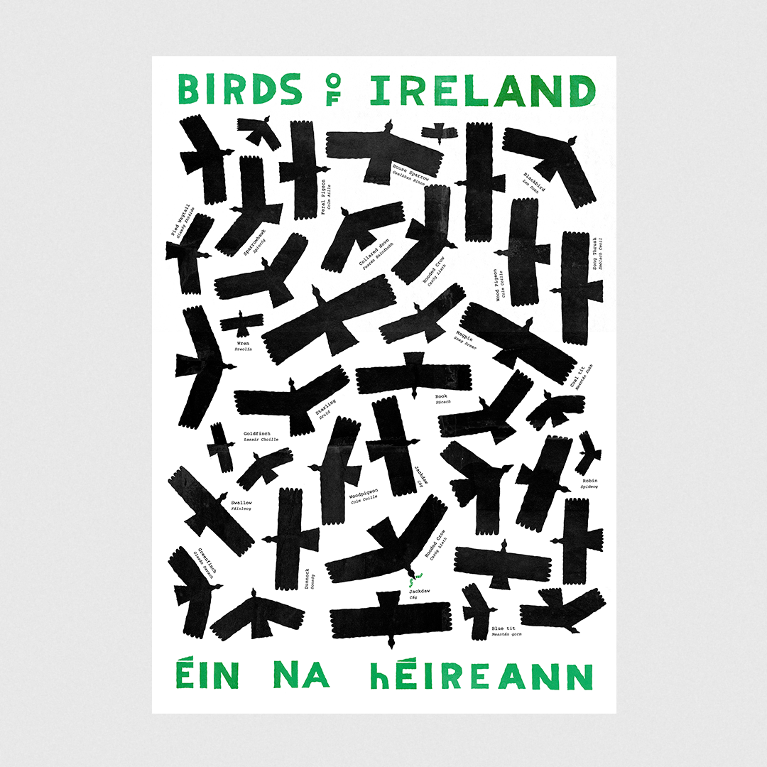 Birds by Conor Nolan